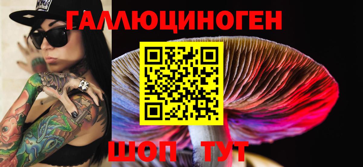 Галлюциногенные грибы Psilocybe Миллерово
