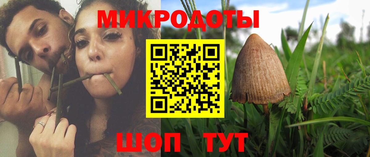 Миллерово  Псилоцибиновые грибы GOLDEN TEACHER  Вход с VPN 