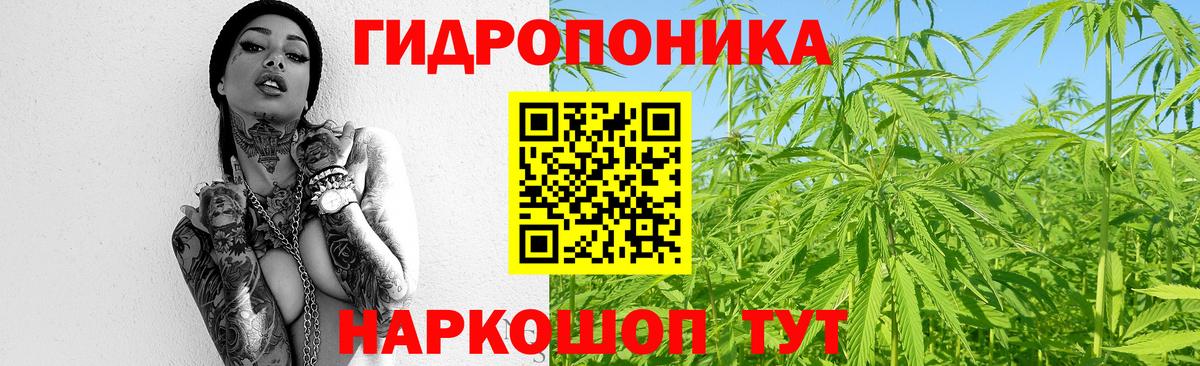 Бошки Шишки VHQ  Вход с VPN  Миллерово  МАРИХУАНА конопля  Канабис индика 